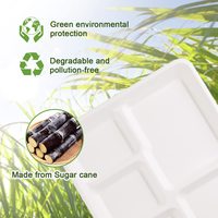 Barquettes alimentaires jetables 100% compostables à 5 compartiments en bagasse, assiettes biodégradables