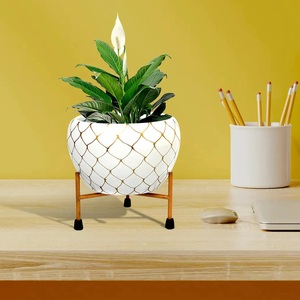 Pot de plantes en métal support trépied pour salons décor à la maison balcon jardinage utilisation intérieure jardinière vase en fer finitions en marbre - Product Image 5