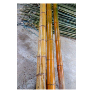 Poste de bambú de fábrica de muchos colores con tamaño personalizado para la Agricultura/en stock Material duradero de alta calidad en Vietnam - Product Image 5