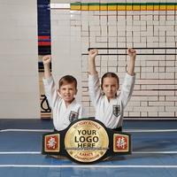Cinturón de campeonato barato para niños, cinturón de campeonato en blanco, cinturón de campeonato