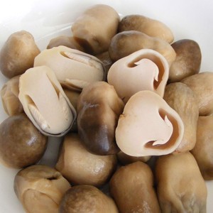 Champignon paille salée naturelle champignon Volvariella volvacea - Product Image 3