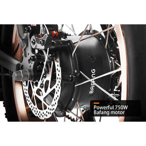 จักรยานไฟฟ้าบรรทุก HAOQI Antelope Pro 750W มอเตอร์ Bafang แบตเตอรี่ 16Ah+9Ah รับน้ำหนักได้ 400 ปอนด์ สีเงิน/ดำ ระบบเกียร์แบบกลไก/ไฮดรอลิก - Product Image 6