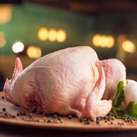 Poulet entier congelé IQF biologique de haute qualité, certifié Halal, enrichi en vitamines, faible en gras, qualité supérieure, grade A, en gros