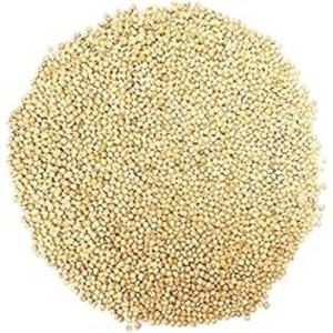 High Quality Wholesale 100% Natural Dried Whole French Non-Glutinous Yellow <b>Millet</b> Grains with Cheap Price for Animal Feed - Product Image 4