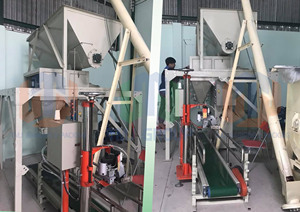 Máquina embolsadora de alta calidad de la serie, 25kg, 40kg, 50kg o personalizada para sal PE PP ZIP de Vietnam - Product Image 6