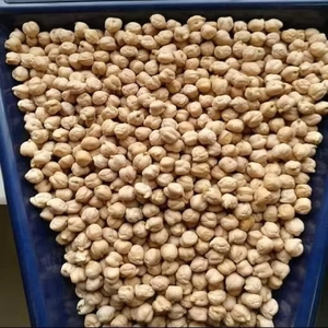 Garbanzos Orgánicos en Grandes Cantidades, Garbanzos Orgánicos de Alta Calidad Empacados de Forma Segura para Pedidos al por Mayor y al por Menor - Product Image 1