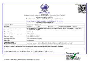 Cilantro seco de calidad de loro de calidad de exportación Fabricante de calidad superior Exportación de cilantro seco de la India con el mejor precio - Product Image 5