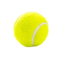 Balle de cricket de qualité supérieure avec logo personnalisé pour équipes sportives – Matériel et couleur sur mesure pour l'entraînement et la pratique – Poids 58g