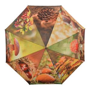 Paraguas con Motivo Otoñal - Product Image 1