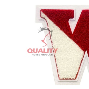 Custom Chenille Embroidered Patch Letter Iron Patches for Clothing Custom Design Fashion Use Embroidery Chenille Patches - Product Image 4