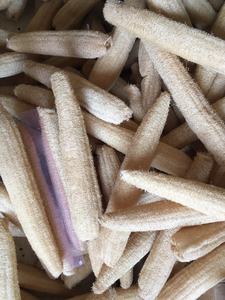 Esponja de Luffa seca vietnamita, depurador de baño, cepillo corporal de lufa entera y almohadillas de limpieza para lavar platos y bañarse - Product Image 6