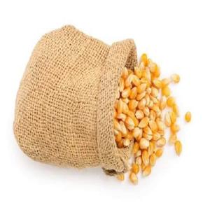 คุณภาพสูงราคาถูกสําหรับการขายข้าวโพดสีเหลืองอาหารสัตว์ข้าวโพดสีเหลืองราคาต่อตันข้าวโพดสีเหลืองสําหรับอาหารสัตว์ราคาต่ํา - Product Image 3