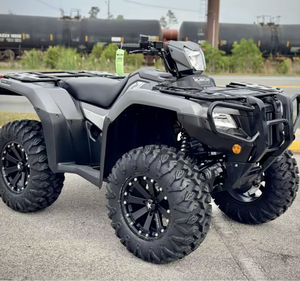 2024 HoOnda Four Trax Rubicon 4X4 Automático Mate Plateado Metálico con 3 Años de Garantía Hecho en Japón - Product Image 4