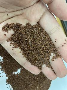 Mejor precio, alta calidad, hygrophila salicifolia para la belleza - Product Image 3