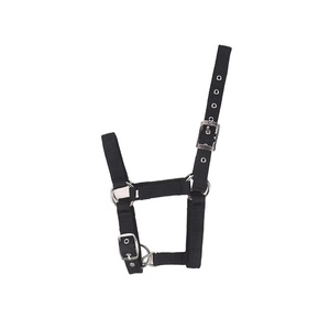 Adjustable Nylon Webbing Equestrian Western Horse Halter <b>Halters</b> Black XS S M L XL Ergonomic Comfortable Horse Riding Wear - Product Image 1