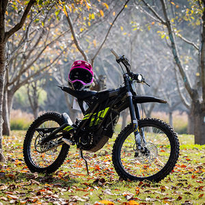 Vélo tout-terrain électrique Light Bee 60V 2025, moteur central, 3 vitesses, alimentation au lithium, personnalisable OEM, usage industriel - Product Image 1