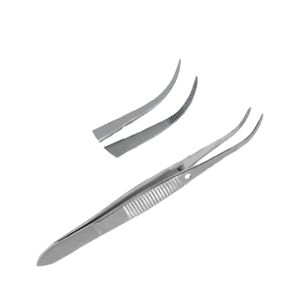 Kit de disección, 8 Uds., juego de herramientas quirúrgicas veterinarias de acero inoxidable para ratas para estudios de anatomía Animal, instrumento médico - Product Image 4