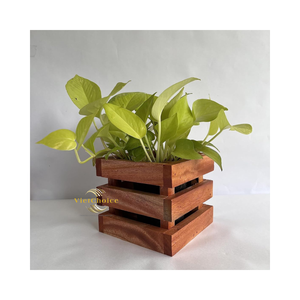 Minimalist <b>Wooden</b> Plant Pot Natural Wood Handmade Flower Planter For Home Decoration - Product Image 3