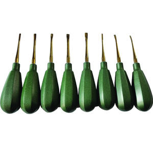 Artículo superventas, juego de elevadores de raíz de luxación Dental Premium, puntas recubiertas de Plasma de titanio, instrumentos quirúrgicos dentales - Product Image 1