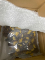 Gedroogde sinaasappelschijfjes met chocoladeafwerking, geïnspireerd op gedroogd fruit en gevriesdroogd fruit, snack-innovatie