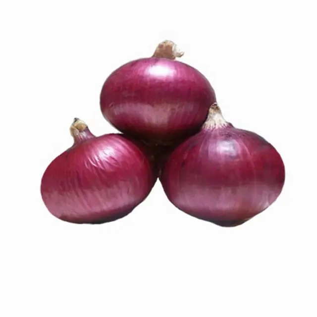 Hot Sale Big Red Onions Qualidade Premium Cebola Fresca para atacado Nova Colheita % 100 Cebolas Orgânicas Preço barato