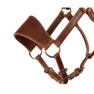 Double Ply Heavy Duty Brown Leather Horse <b>Halter</b> Anatomically Design Full Stitched Adjustable Leather <b>Halter</b> Horse in Full Cob - Product Image 2