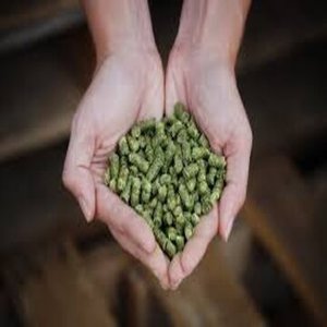 เม็ดหญ้าชนิตสำหรับม้า | เม็ดบริสุทธิ์สด | สำหรับขาย - Product Image 6