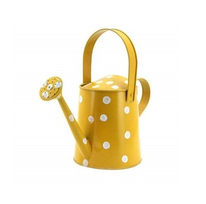Solid Metal Iron watering can New Design water <b>Hand</b> <b>Tools</b> Blue Finished water can at Lower Prices For <b>Garden</b> Decor - Product Image 6