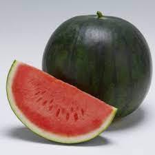 Semi di 200 raccolto biologico Aleppo nero semi di anguria semi biologici per Hobby giardino