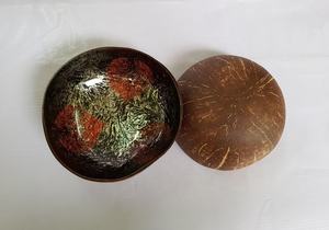 Vente en gros OEM – Nouveaux ensembles de vaisselle colorés en coquilles de noix de coco naturelles polies et écologiques, idéaux pour la rentrée scolaire, à prix abordable, du Vietnam - Product Image 5