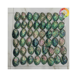 High Grade Natural <b>Abalone</b> <b>Shells</b> Bulk Supply For DIY Crafts Handicraft Products Natural Crafts Seashell Decoration Blue Colors - Product Image 2