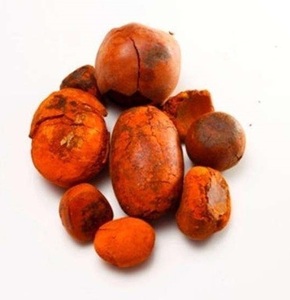 Calculs biliaires de bovin séchés de qualité / Calculs biliaires de bovins comestibles pour l'alimentation animale, durée de conservation de 3 ans, Afrique du Sud - Product Image 1