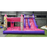Château gonflable commercial Hpfburg avec grand toboggan pour fêtes
