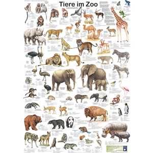 Póster de Animales de Zoológico de Estilo Moderno en DIN A1, Diseño Alemán para Decoración de Pared - Product Image 3