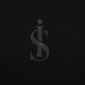 Sudaderas con Capucha Personalizadas 100% Algodón para Hombre, Sudaderas Básicas Extra Grandes de Felpa Francesa Gruesa de Alta Calidad - Product Image 4