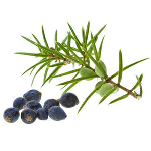 Bayas de Enebro Orgánicas a Granel de Nueva Temporada, Secas Naturalmente, Calidad Premium, Suministro al por Mayor, Empaque de Marca Privada para el Mercado Internacional - Product Image 4