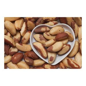 Fournisseur en gros de noix du Brésil de la meilleure qualité à vendre à prix avantageux - Product Image 5