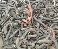 Conseils de corne de buffle naturelle de haute qualité Style animal écologique blanc marron brut pour la décoration d'agate artisanat très naturel
