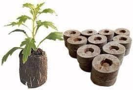 Pellets de coco premium du Vietnam - Substrat naturel pour la culture des semis - Product Image 5