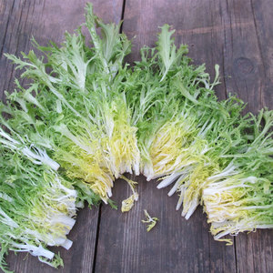 Chicorée à feuilles amères la plus vendue: légumes de qualité supérieure du fournisseur en gros - Product Image 6