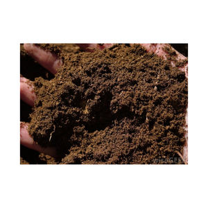 Proveedor confiable de cantidades a granel de musgo de Turba para mercados de exportación - Product Image 1