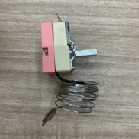 Thermostat capillaire à expansion liquide Hullo WYB pour congélateur avec bouton 1 NC 2 fils 3 broches