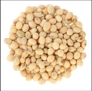 Aceite de girasol sin refinar, botellas de 1L, Base de cocción líquida a granel, tanques flexibles de aceite, contenedores de 20 pies, producto agrícola, directo a Kazajstán - Product Image 4