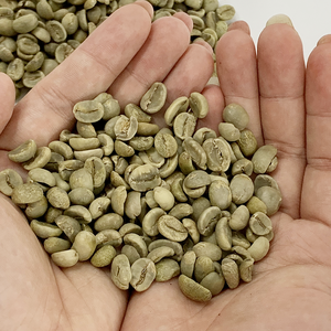 Fournisseur direct d'usine, origine Vietnam, grains de café vert Arabica, naturels, entièrement lavés, prix de gros, service OEM/ODM - Product Image 2