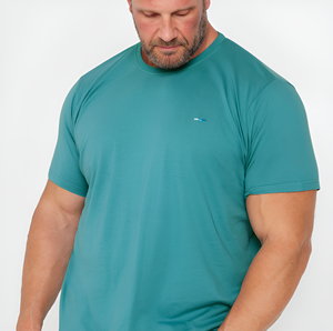 Camiseta de Algodón 100% para Hombre con Logotipo Personalizado, Alta Calidad, Tallas Grandes US/UK, Manga Corta, Casual, OEM, ODM, Venta al Por Mayor, Anti-Pilling, Secado Rápido - Product Image 1