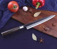 Couteau de chef professionnel de haute qualité, 10 pouces, moderne, écologique, en acier inoxydable, pour la pêche et le filetage, fourni par Knives World