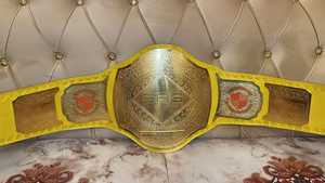 Cinturones de Campeonato Personalizados! Cinturón Intercontinental de Bulldog Inglés 2025 - Product Image 2