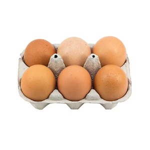 Œufs de poulet frais de qualité supérieure pour l'exportation Coquille brune et blanche Approvisionnement direct de la ferme Prix de gros Expédition rapide - Product Image 5