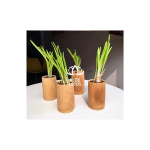 TAZA DE BAMBÚ DE DISEÑO CALIENTE VIETNAM AMBIENTEMENTE-SEGURO DE BLUE LOTUS FARM VIETNAM - Product Image 1