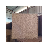 Bloc de fibre de coco 5 kg, écologique, certifié ISO, horticulture, agriculture, serre, hydroponie, biologique, haute qualité, pH 5,8-6,8